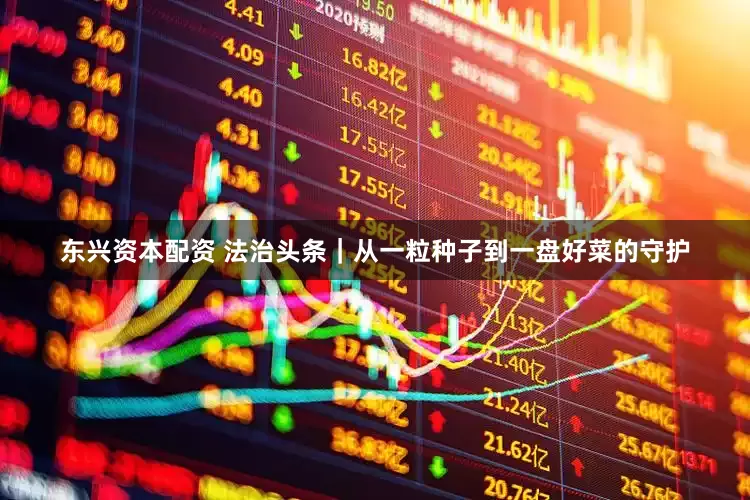 东兴资本配资 法治头条｜从一粒种子到一盘好菜的守护