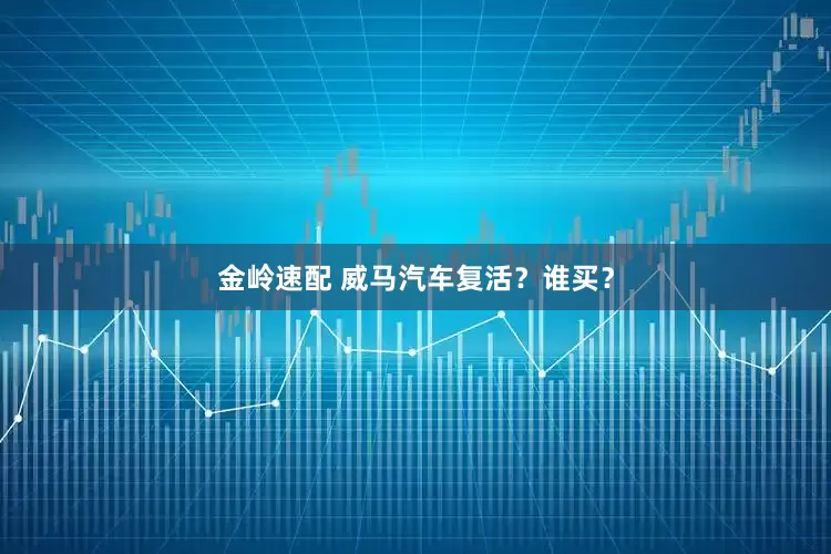金岭速配 威马汽车复活？谁买？