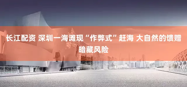 长江配资 深圳一海滩现“作弊式”赶海 大自然的馈赠暗藏风险