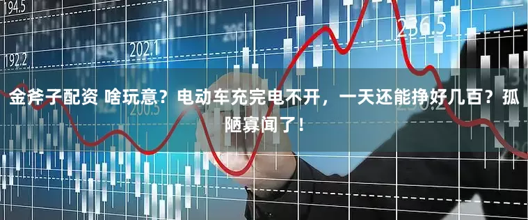 金斧子配资 啥玩意？电动车充完电不开，一天还能挣好几百？孤陋寡闻了！