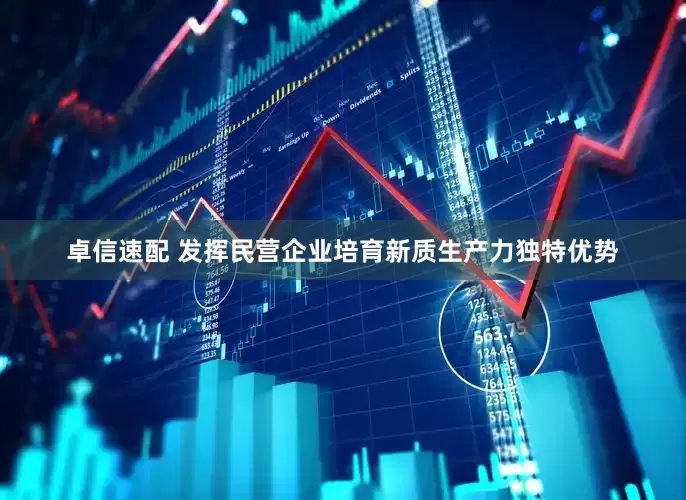 卓信速配 发挥民营企业培育新质生产力独特优势