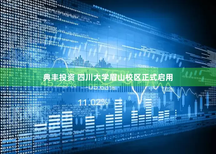 典丰投资 四川大学眉山校区正式启用